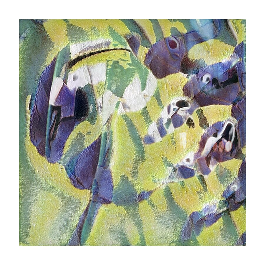 3645 8K Picture Frame print