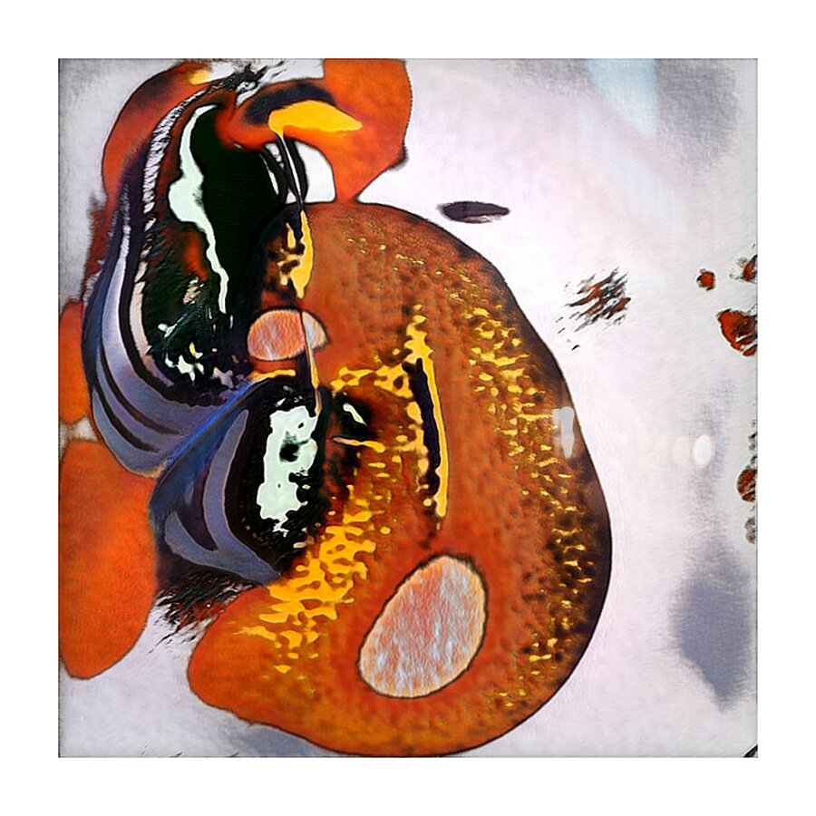 3673 8K Picture Frame print