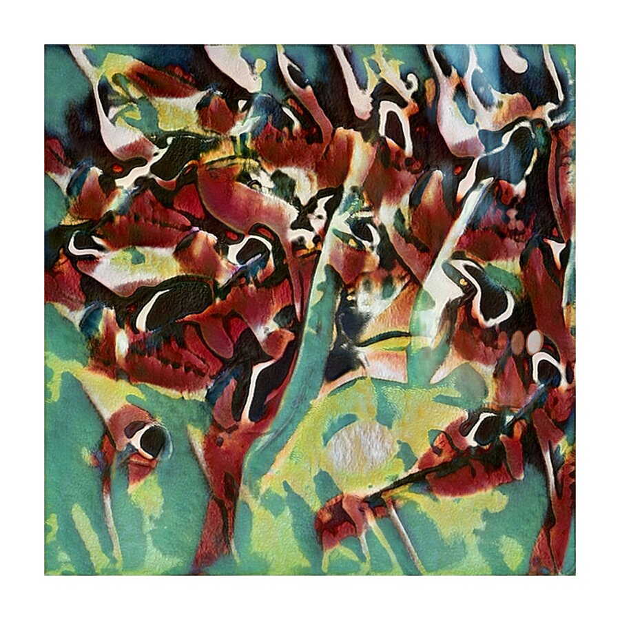 3722 8K Picture Frame print