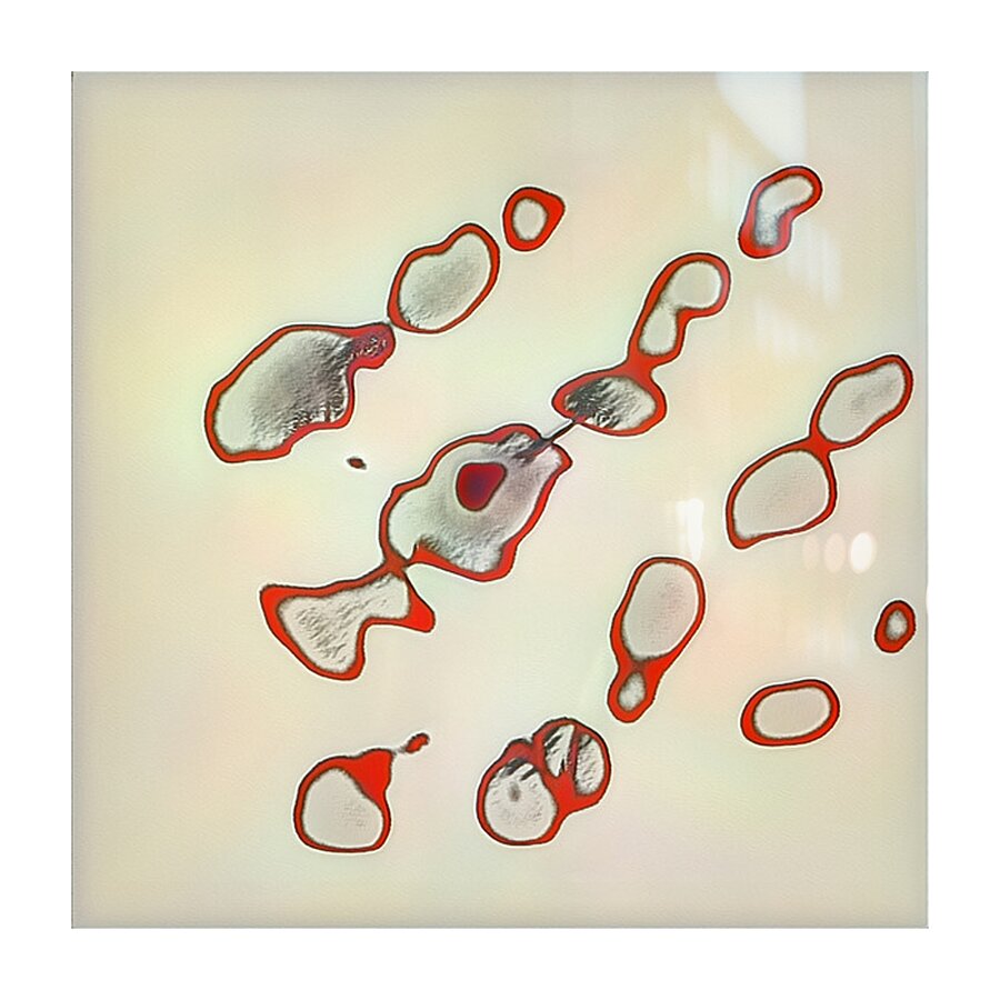 3778 8K Picture Frame print