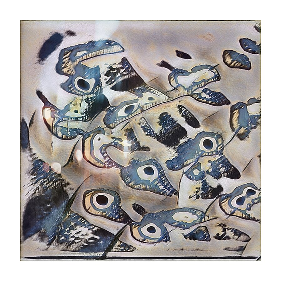 3763 8K Picture Frame print