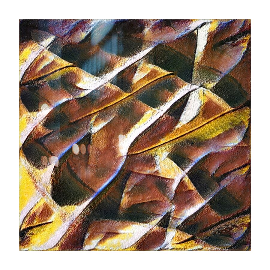 3796 8K Picture Frame print