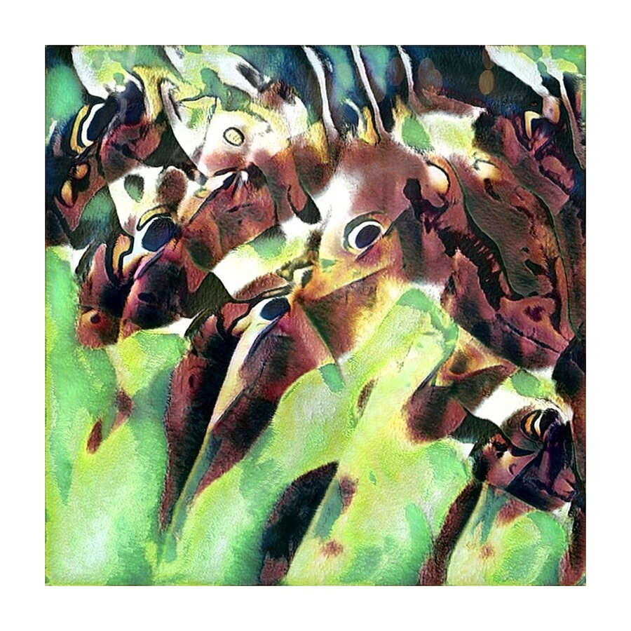 3804 8K Picture Frame print