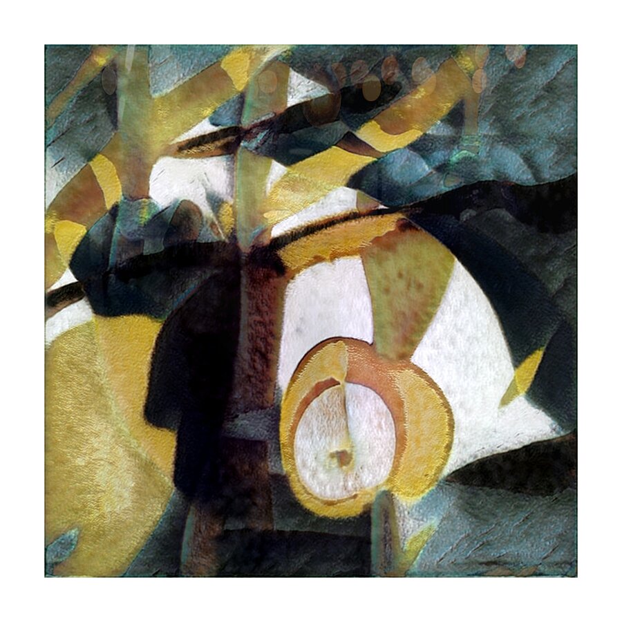 3830 8K Picture Frame print