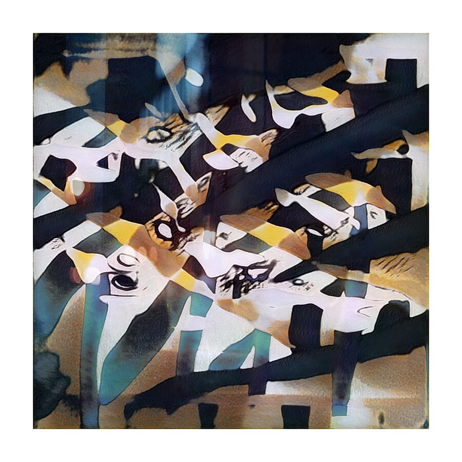 3805 8K Picture Frame print