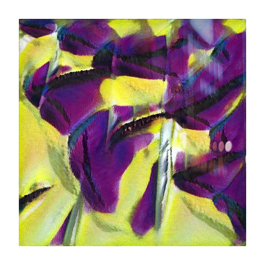 3816 8K Picture Frame print