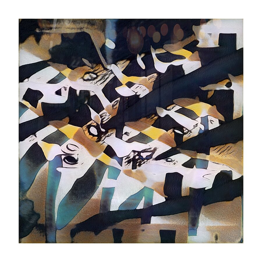 3805 8K Picture Frame print