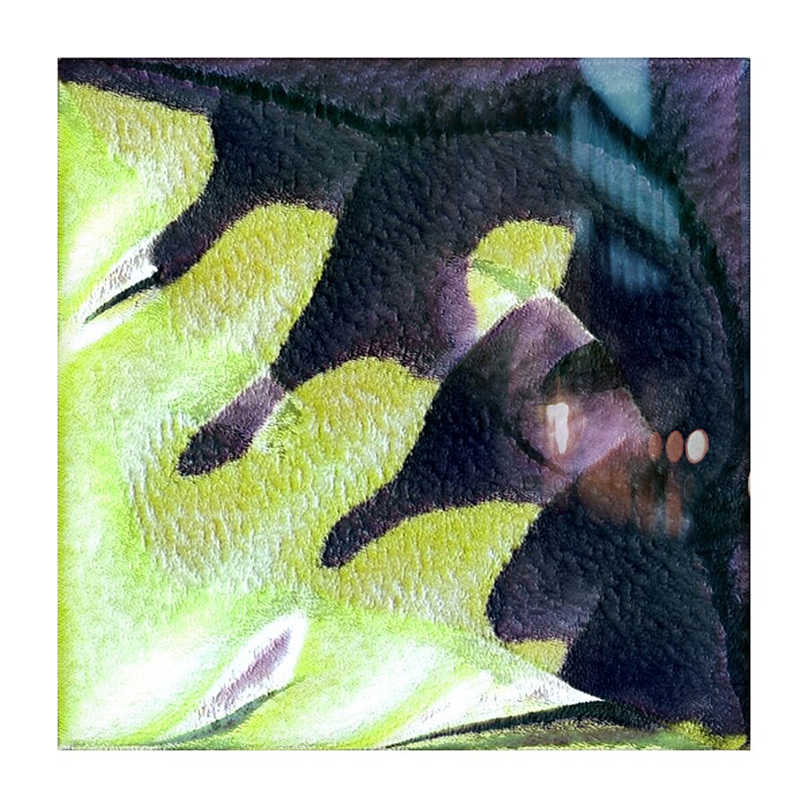 3844 8K Picture Frame print