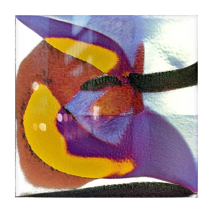 3845 8K Picture Frame print