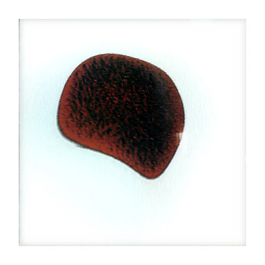 3869 8K Picture Frame print