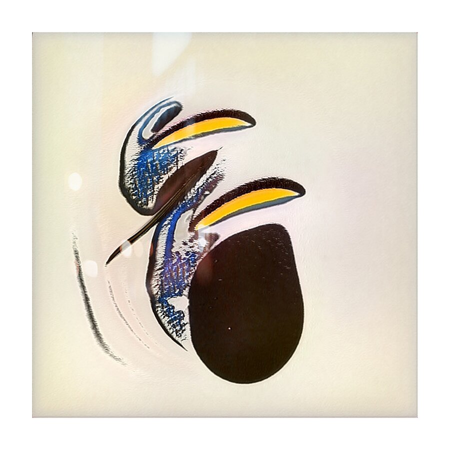 3899 8K Picture Frame print