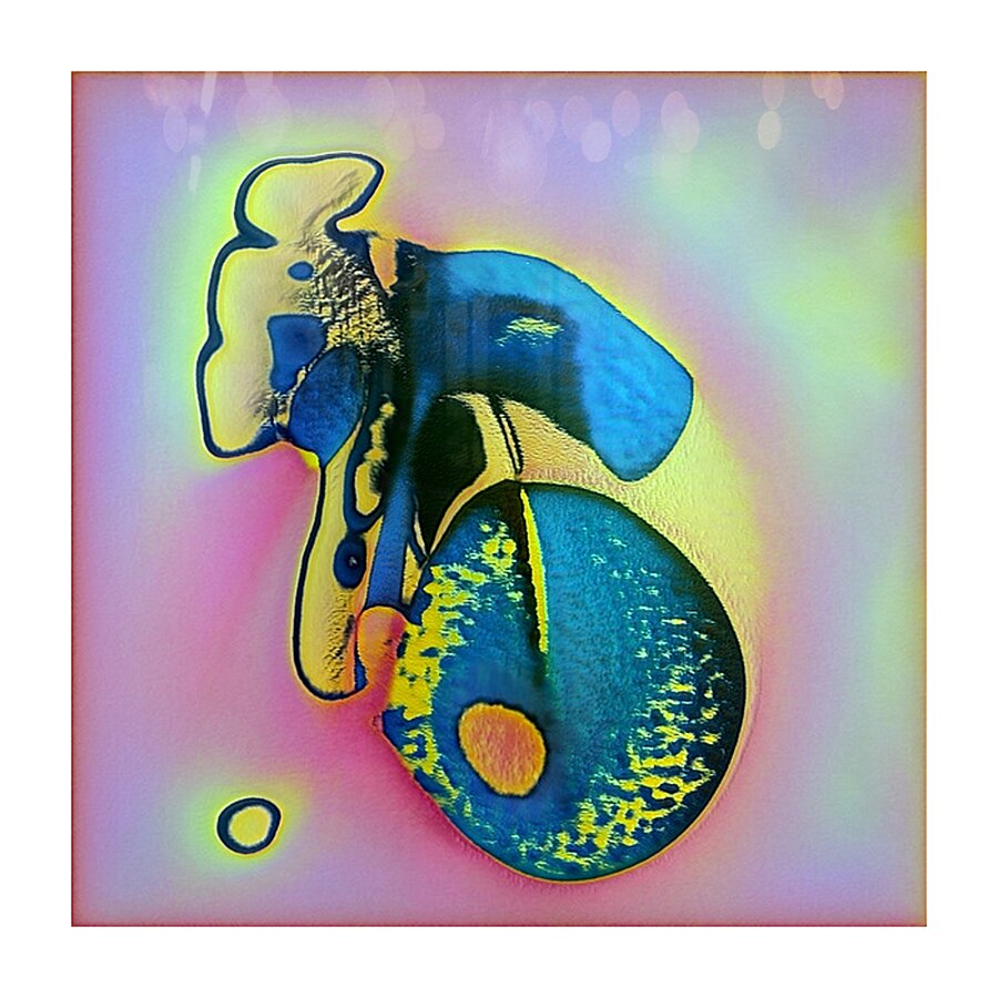 3914 8K Picture Frame print