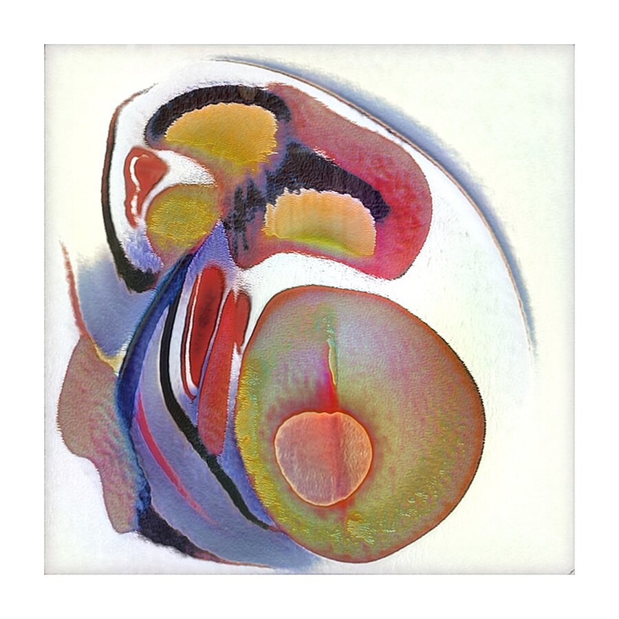 3895 8K Picture Frame print