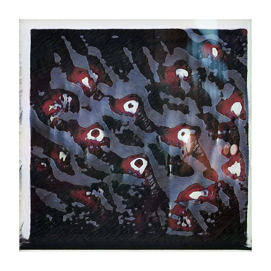 3946 8K Picture Frame print