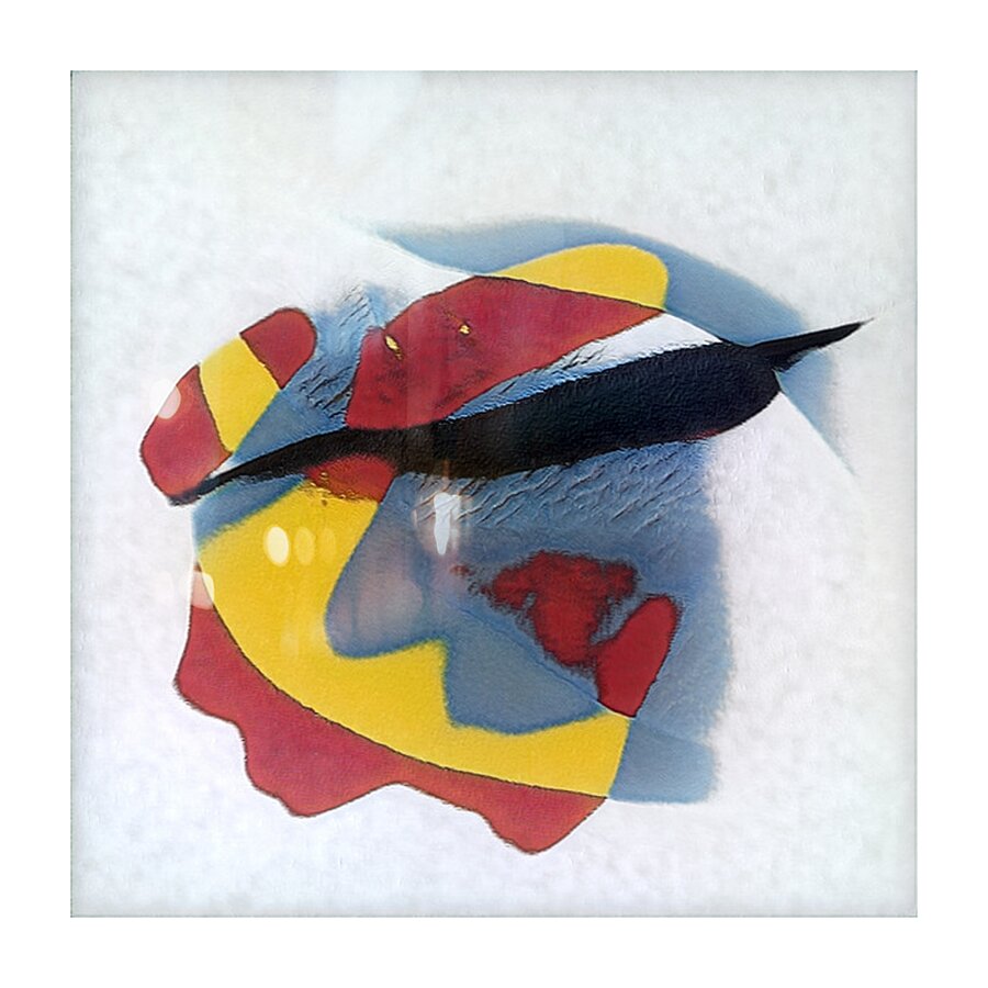 3992 8K Picture Frame print