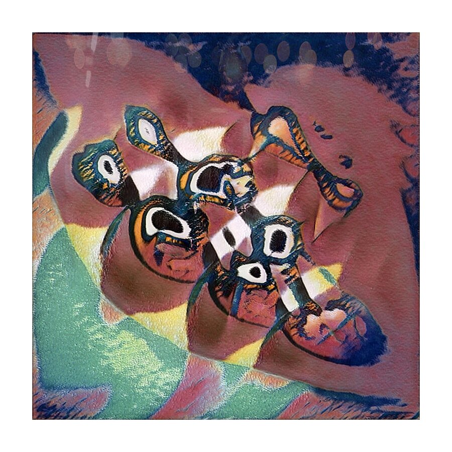 4011 8K Picture Frame print