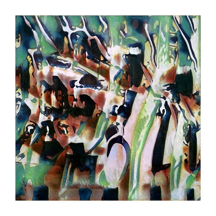 4003 8K Picture Frame print