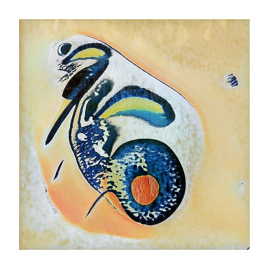 4044 8K Picture Frame print