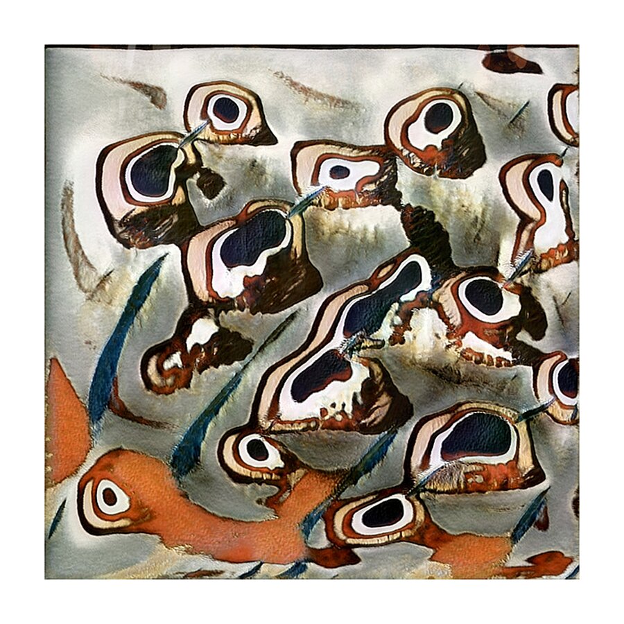 4102 8K Picture Frame print