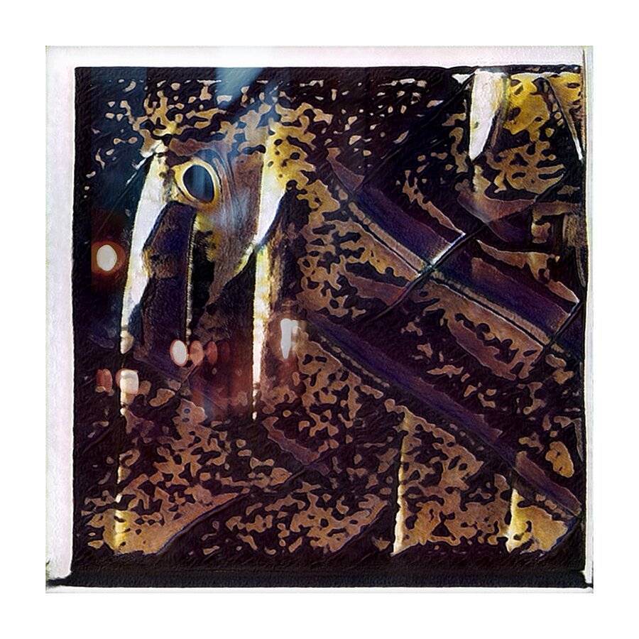 4093 8K Picture Frame print