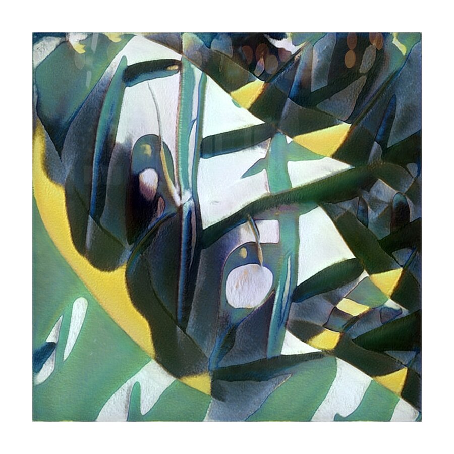 4081 8K Picture Frame print