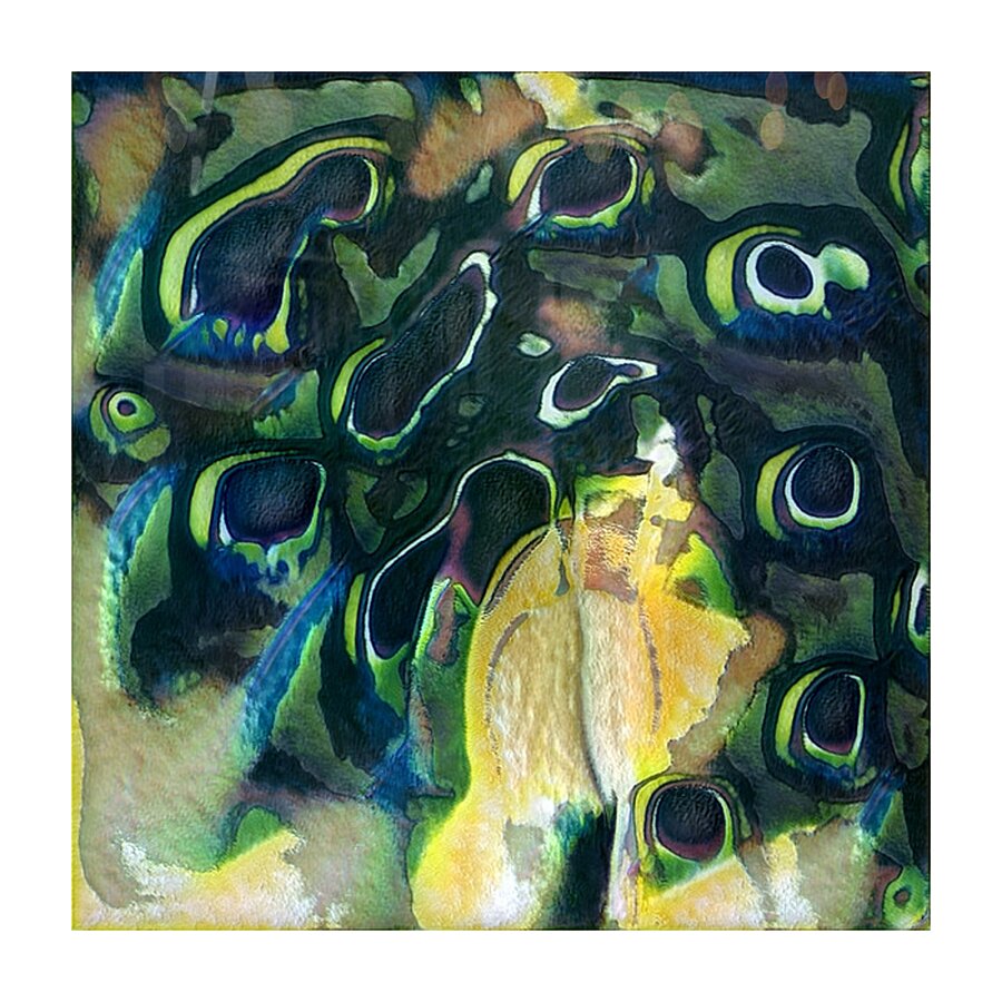 4112 8K Picture Frame print