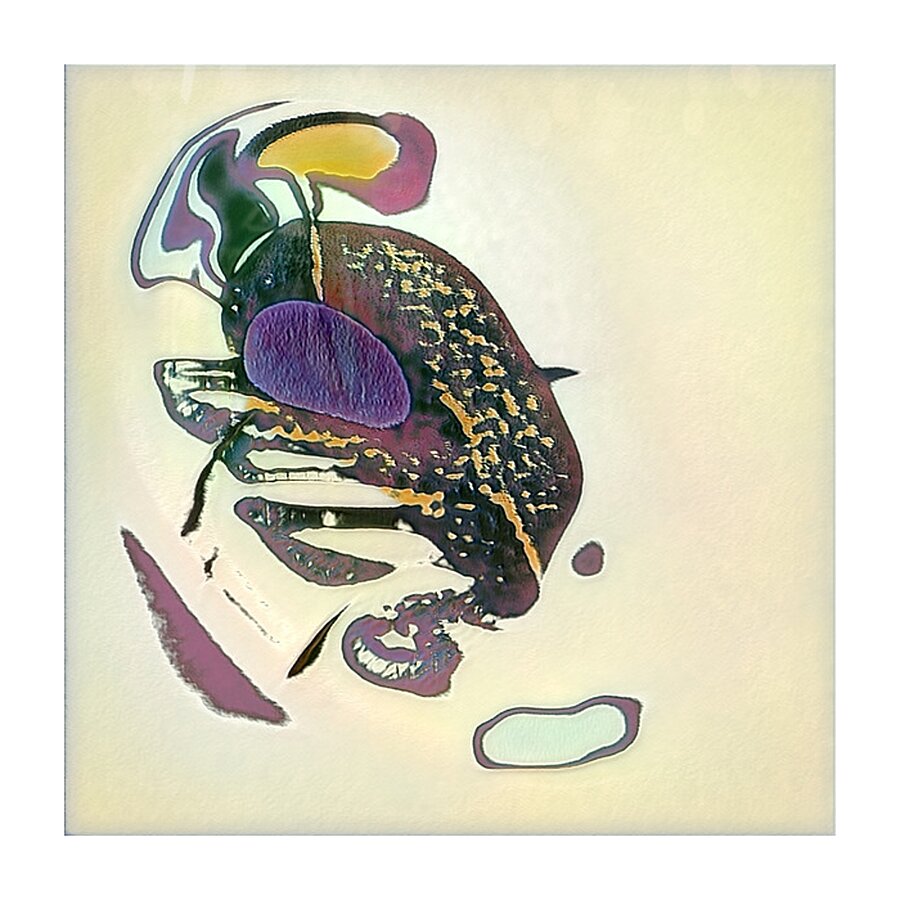 4154 8K Picture Frame print