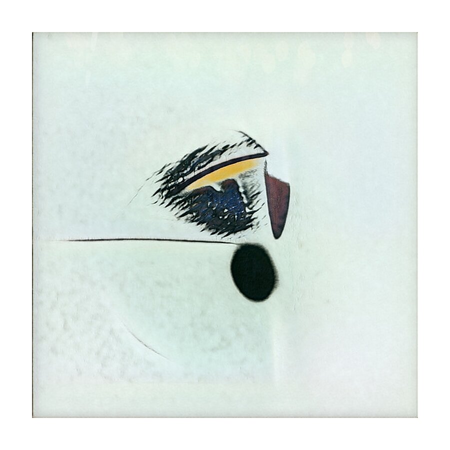 4187 8K Picture Frame print