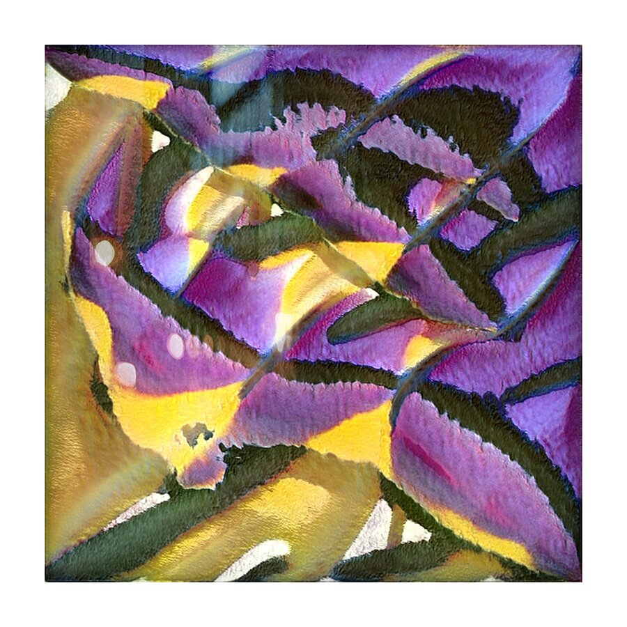 4161 8K Picture Frame print