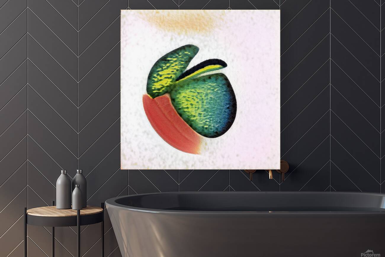 1375 8K Reproduction