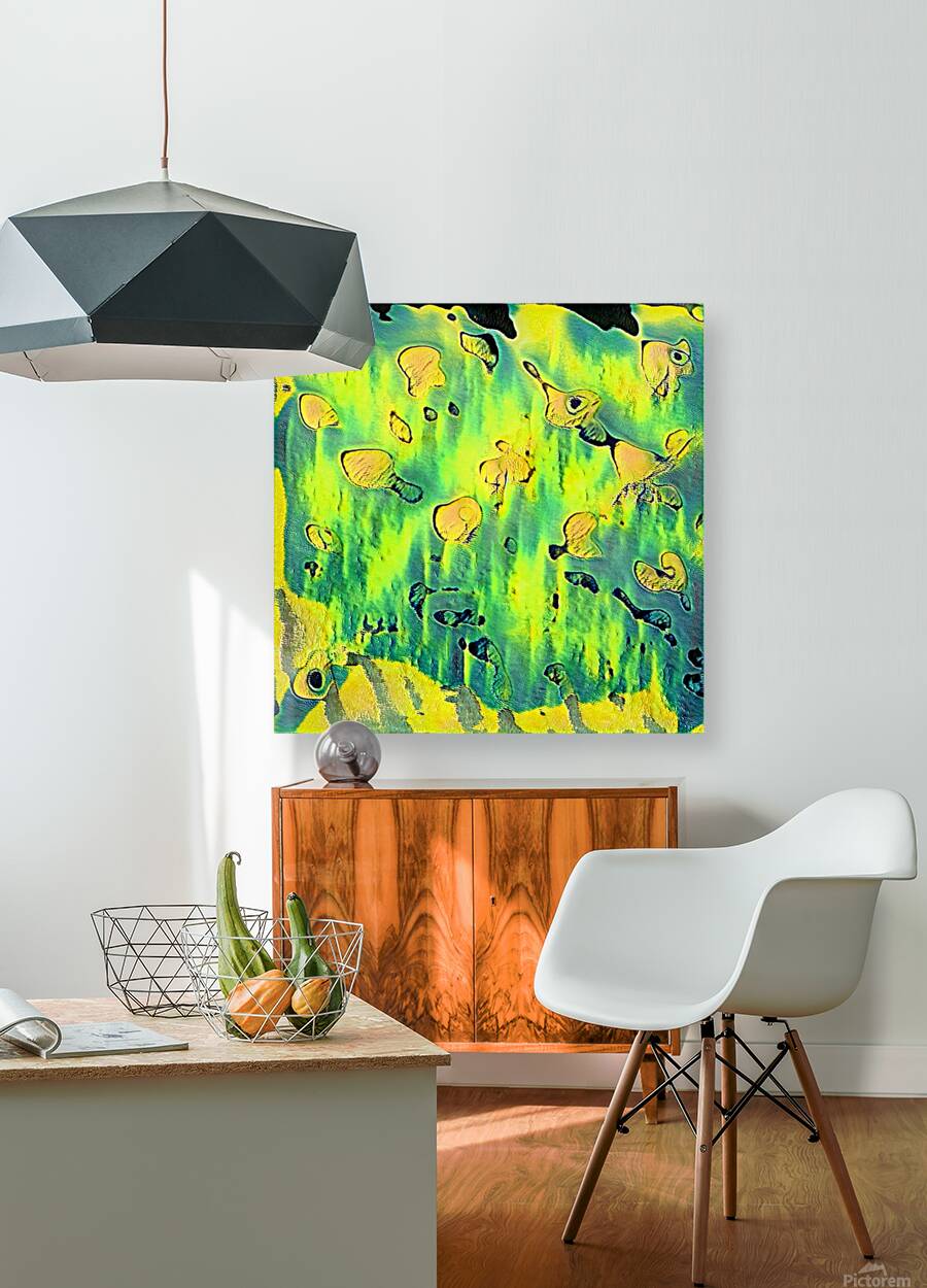 1741 8K Reproduction