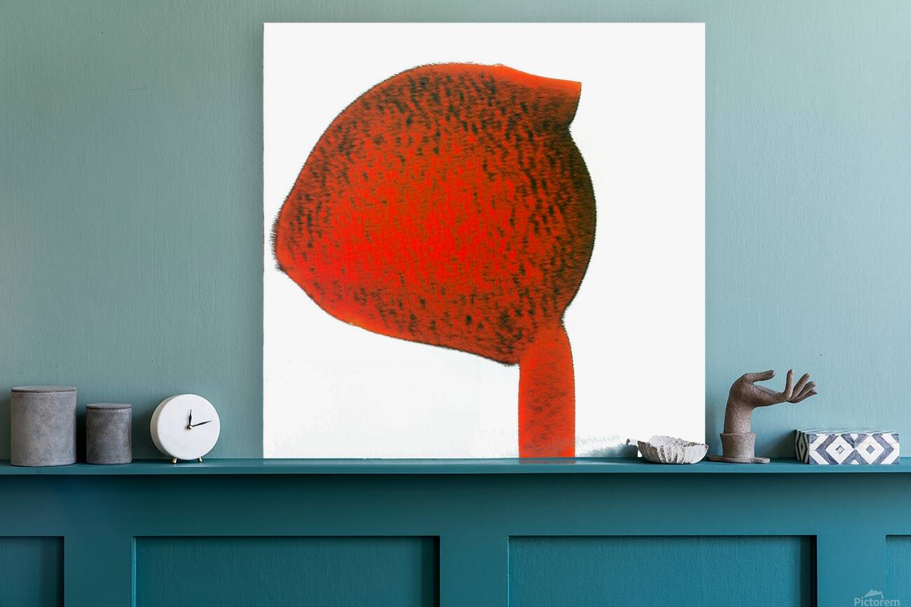 2215 8K Reproduction