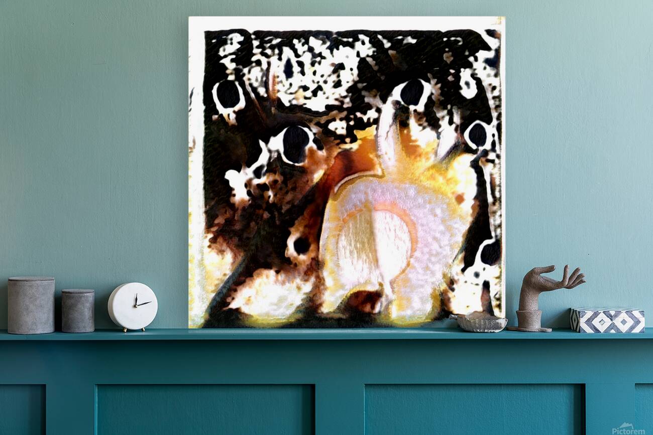 2317 8K Reproduction