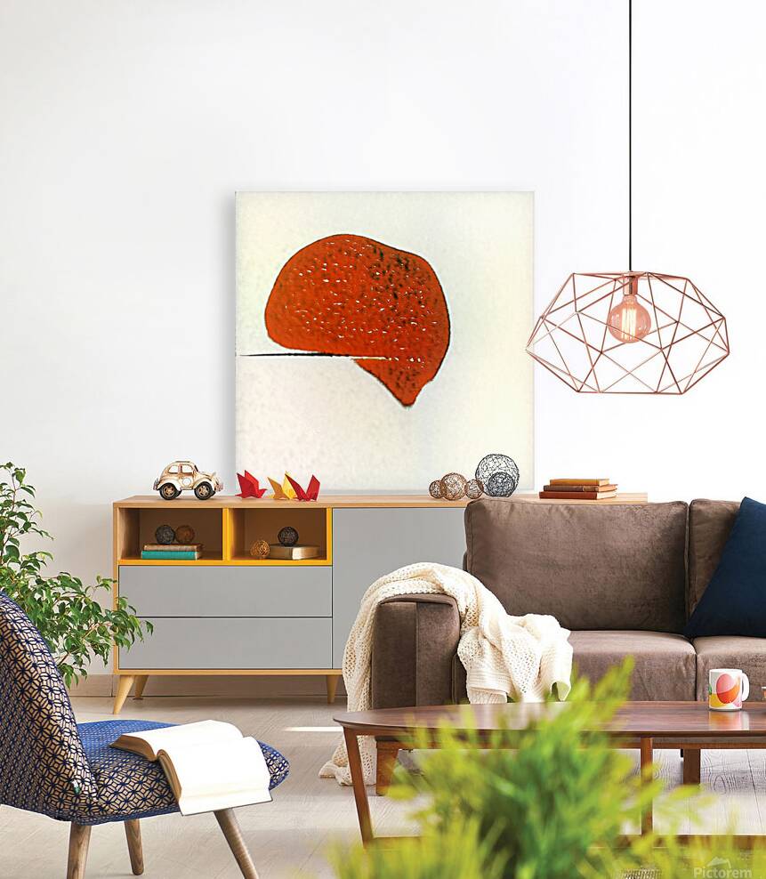 2820 8K Reproduction