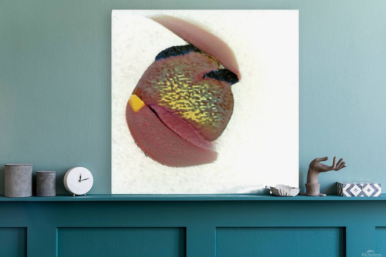 2835 8K Reproduction