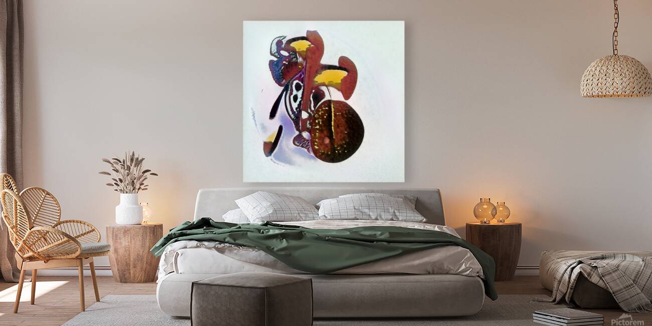 3031 8K Reproduction