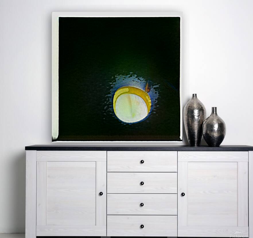 3184 8K Reproduction