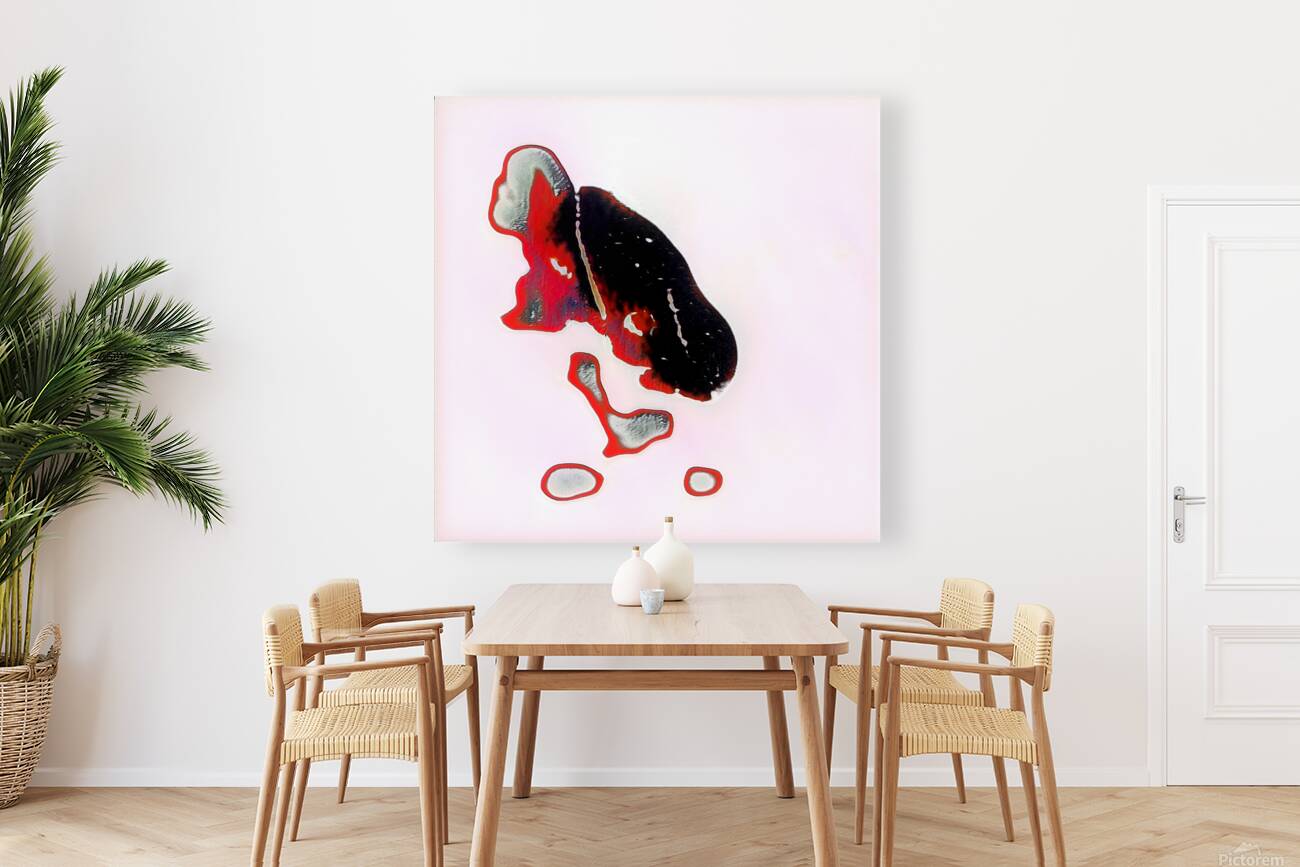 3507 8K Reproduction