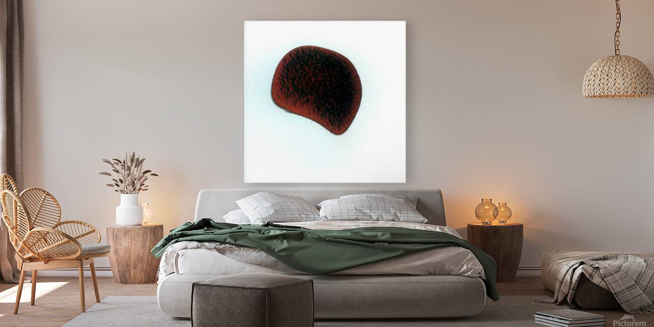 3869 8K Reproduction