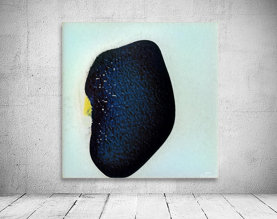 2369 8K Wall Preview