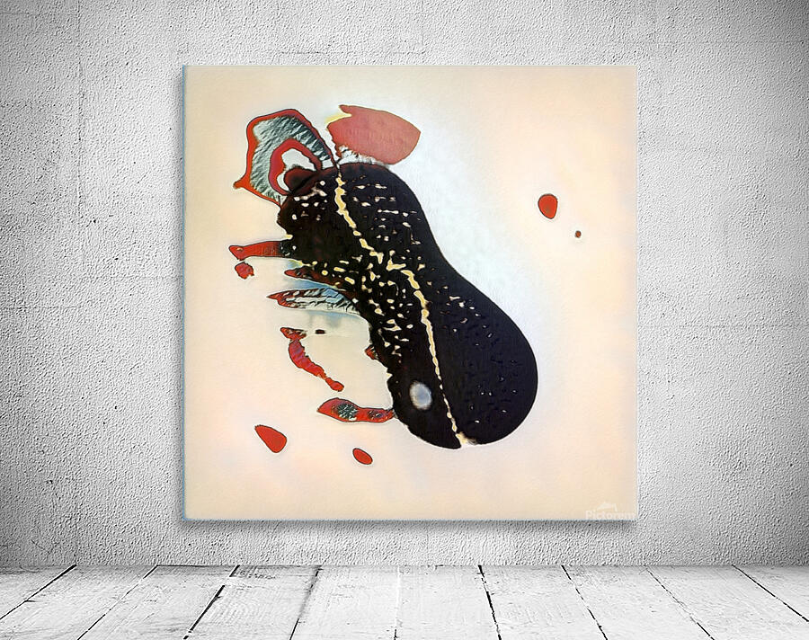 2431 8K Wall Preview