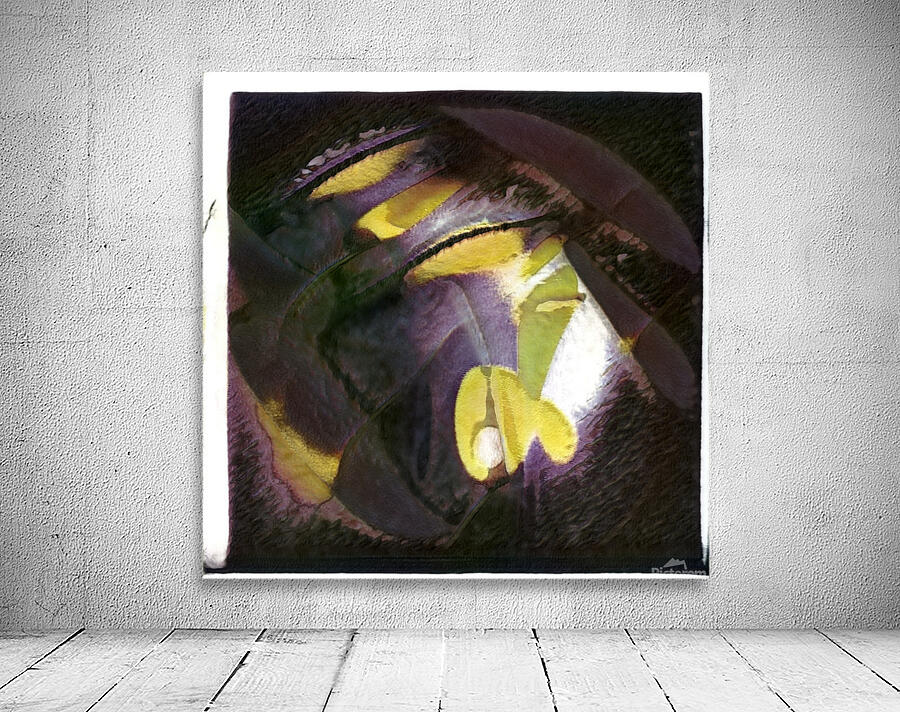 2469 8K Wall Preview