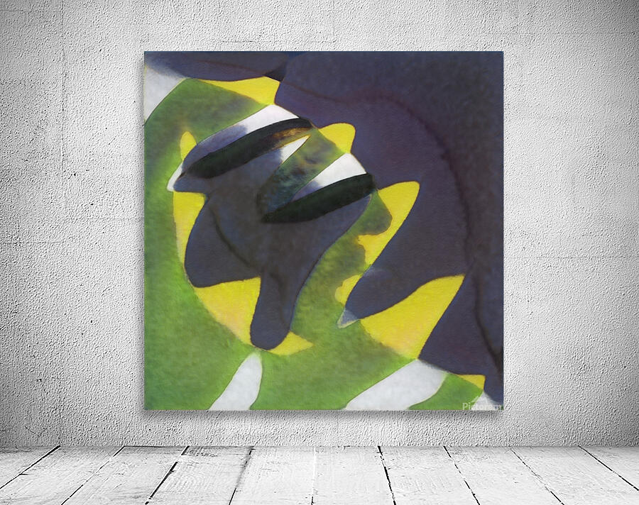 2481 8K Wall Preview