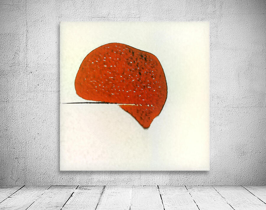 2820 8K Wall Preview