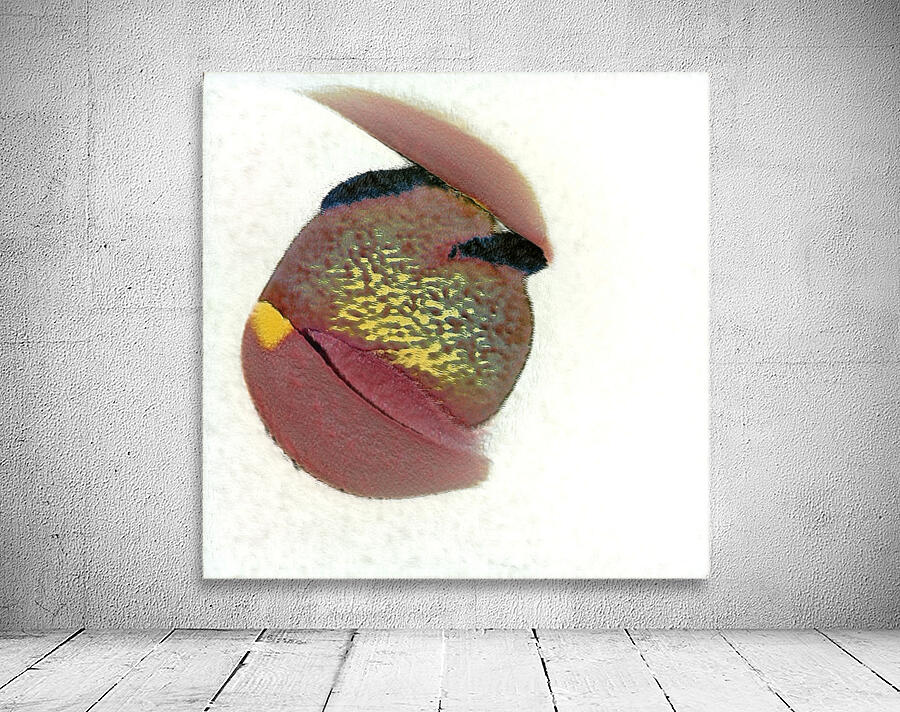 2835 8K Wall Preview