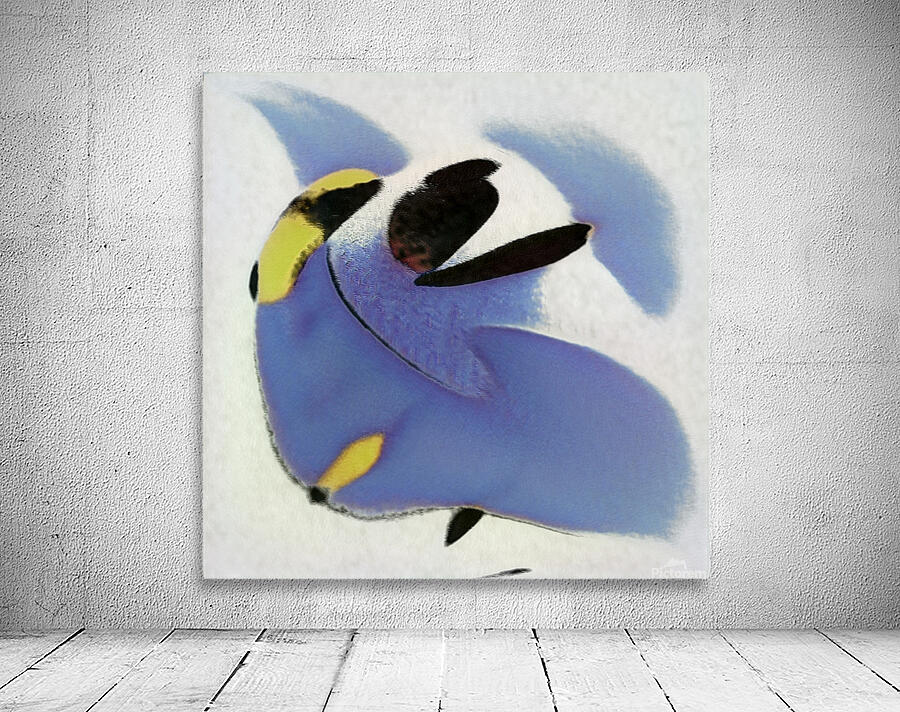 3121 8K Wall Preview