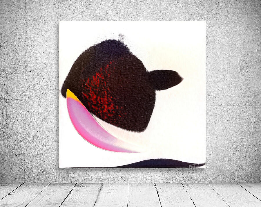 3506 8K Wall Preview