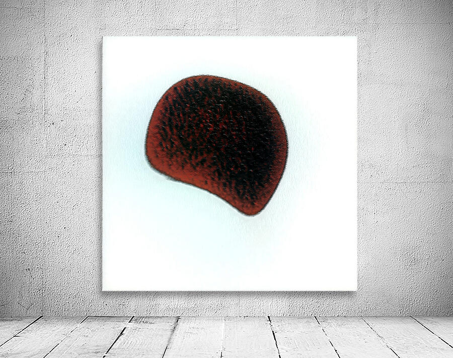 3869 8K Wall Preview