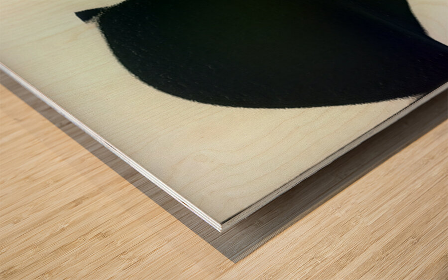 440 8K Impression sur bois