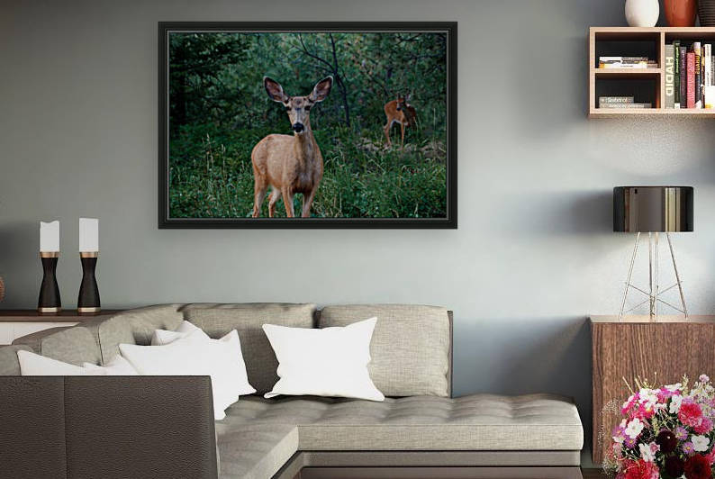Doe a deer by Laurie Kindred